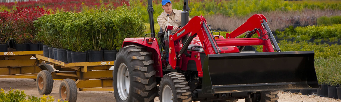 A man pulling plants within a nursery on a red Mahindra 5545 4WD-Shuttle tractor.